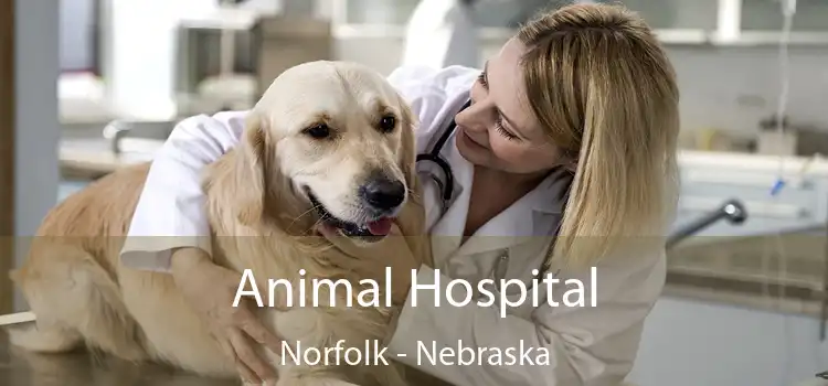 Animal Hospital Norfolk - Nebraska