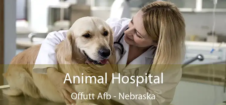 Animal Hospital Offutt Afb - Nebraska