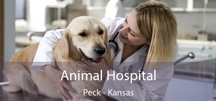 Animal Hospital Peck - Kansas