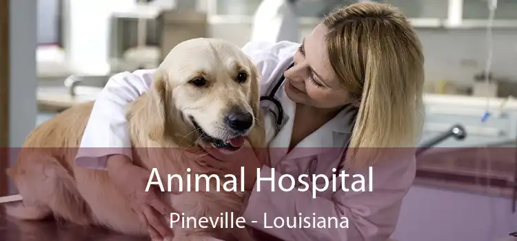 Animal Hospital Pineville - Louisiana