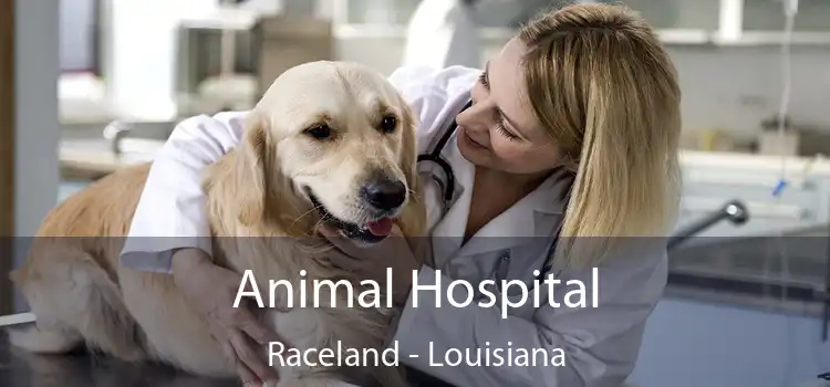 Animal Hospital Raceland - Louisiana