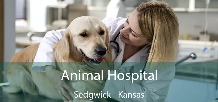 Animal Hospital Sedgwick - Kansas