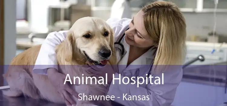 Animal Hospital Shawnee - Kansas