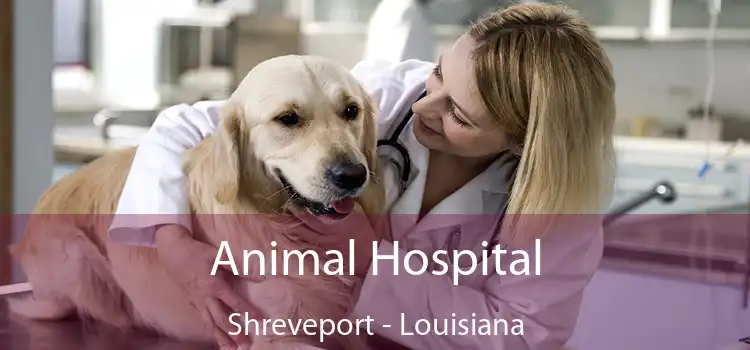 Animal Hospital Shreveport - Louisiana