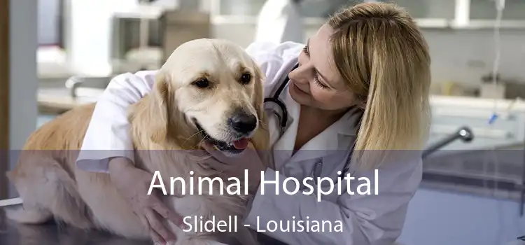 Animal Hospital Slidell - Louisiana