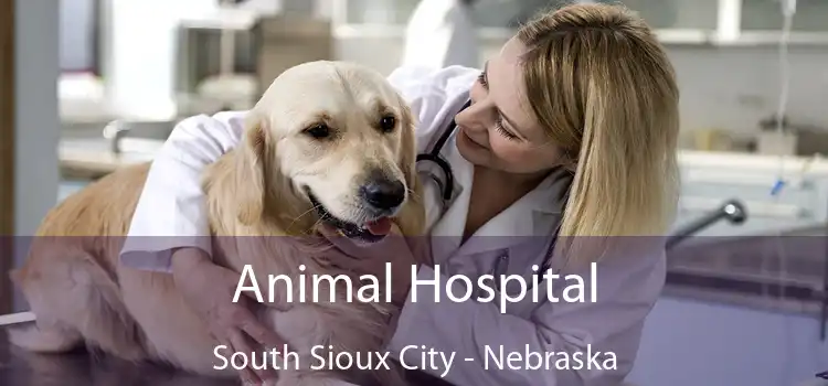 Animal Hospital South Sioux City - Nebraska