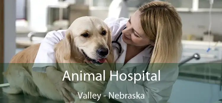 Animal Hospital Valley - Nebraska