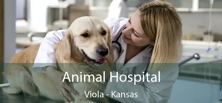 Animal Hospital Viola - Kansas