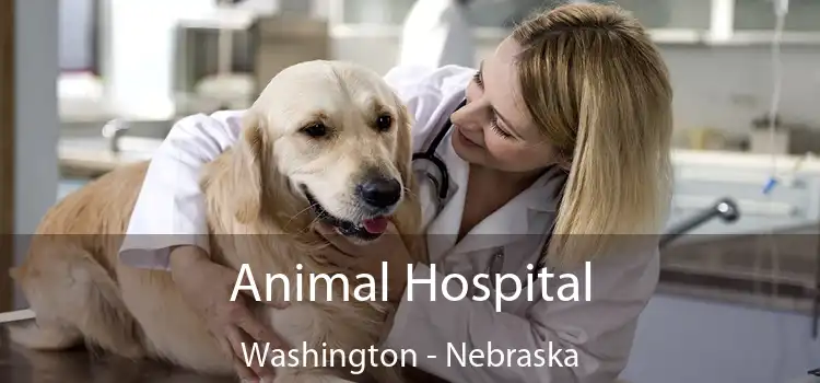 Animal Hospital Washington - Nebraska