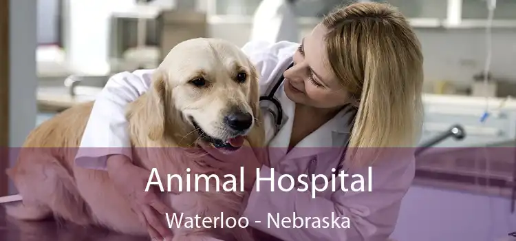 Animal Hospital Waterloo - Nebraska