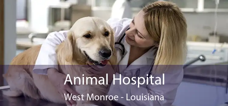 Animal Hospital West Monroe - Louisiana