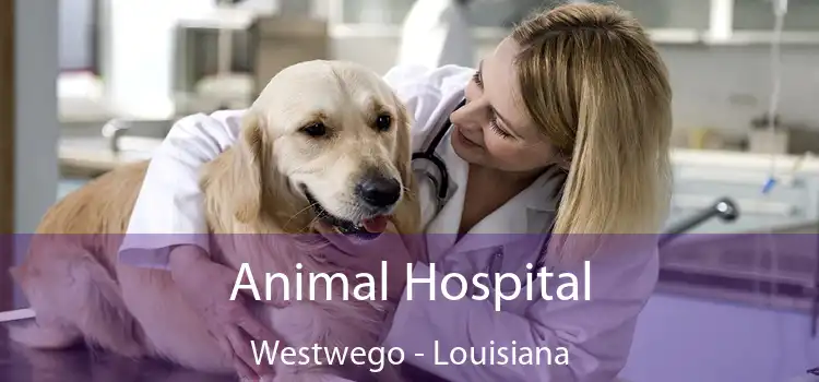 Animal Hospital Westwego - Louisiana