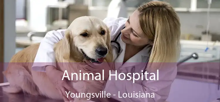 Animal Hospital Youngsville - Louisiana