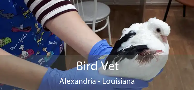 Bird Vet Alexandria - Louisiana