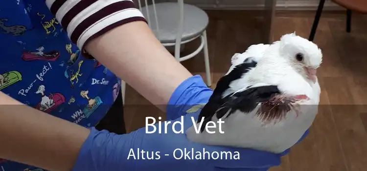 Bird Vet Altus - Oklahoma