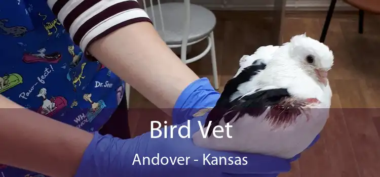 Bird Vet Andover - Kansas