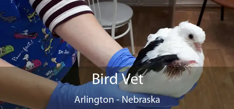 Bird Vet Arlington - Nebraska