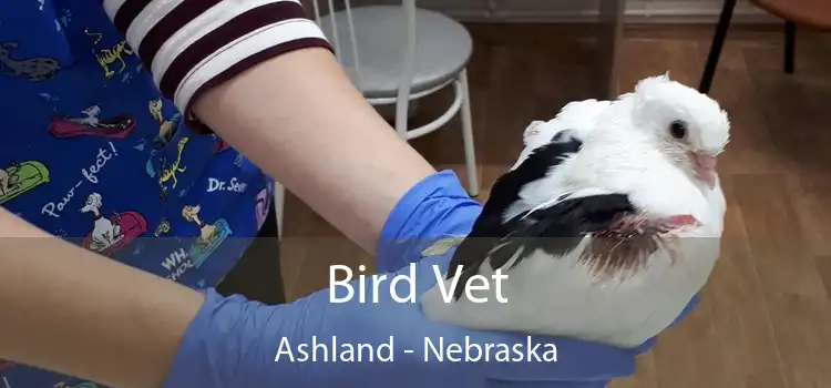 Bird Vet Ashland - Nebraska