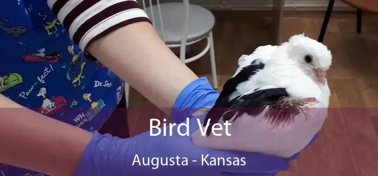 Bird Vet Augusta - Kansas