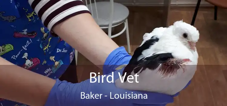 Bird Vet Baker - Louisiana