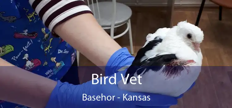 Bird Vet Basehor - Kansas