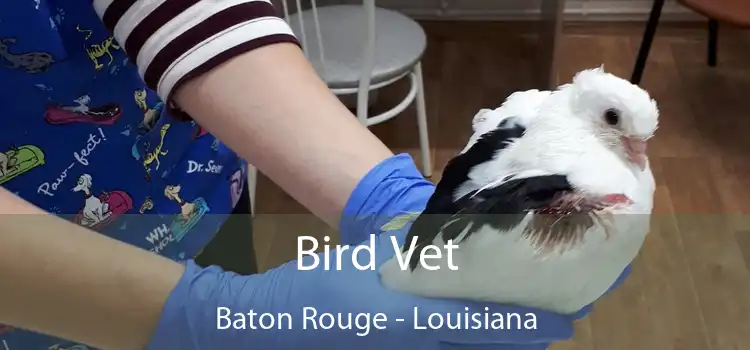 Bird Vet Baton Rouge - Louisiana