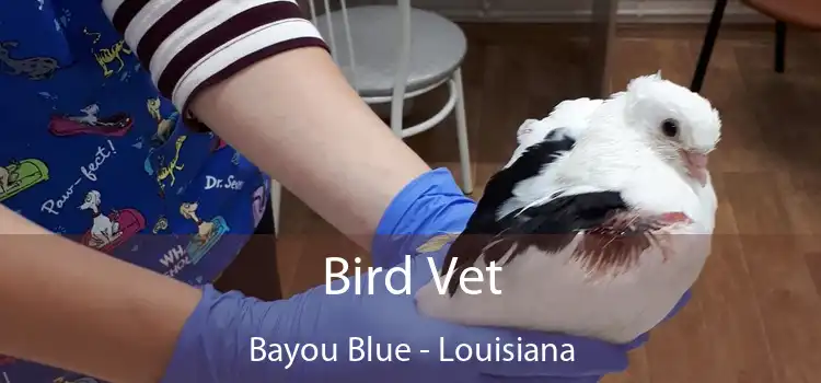 Bird Vet Bayou Blue - Louisiana