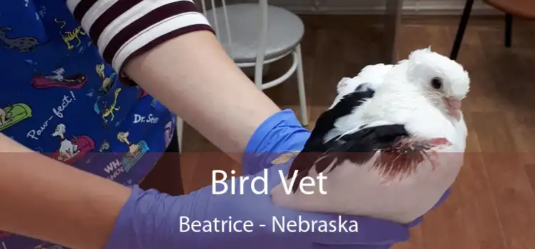 Bird Vet Beatrice - Nebraska