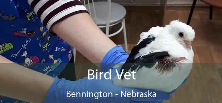 Bird Vet Bennington - Nebraska