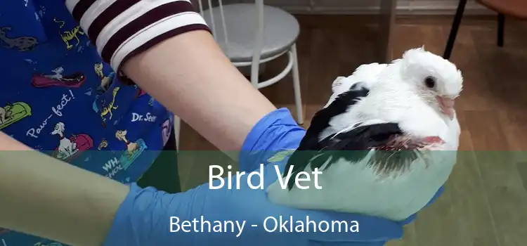 Bird Vet Bethany - Oklahoma