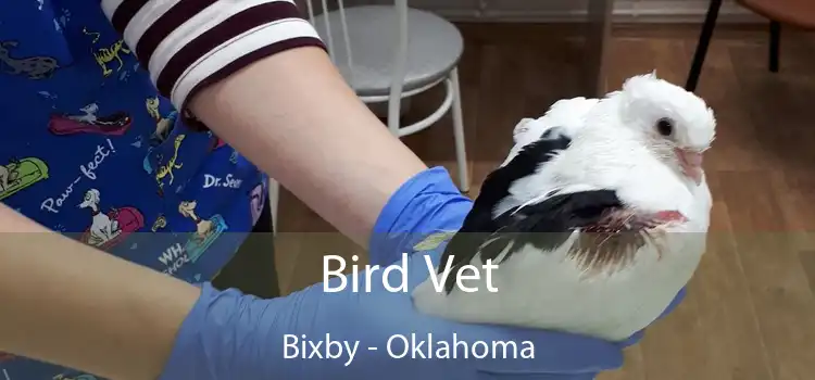 Bird Vet Bixby - Oklahoma