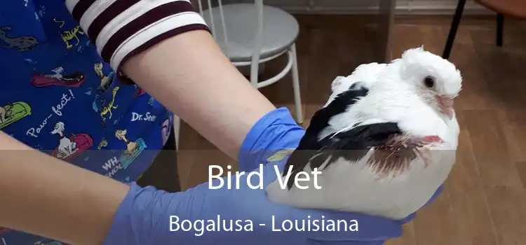 Bird Vet Bogalusa - Louisiana