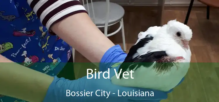 Bird Vet Bossier City - Louisiana