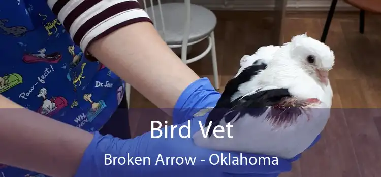 Bird Vet Broken Arrow - Oklahoma