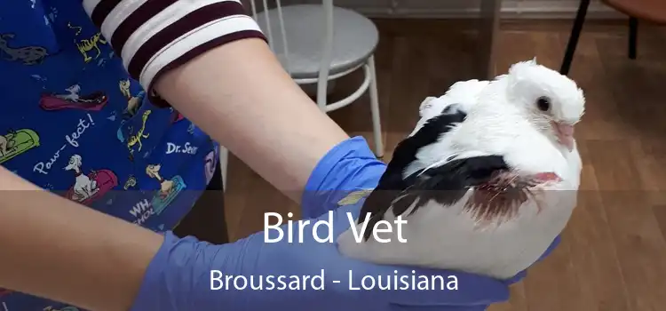 Bird Vet Broussard - Louisiana