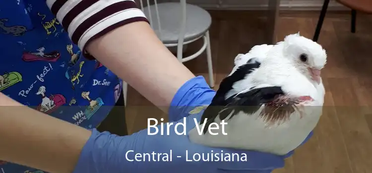 Bird Vet Central - Louisiana