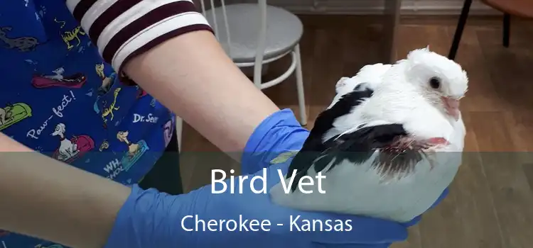 Bird Vet Cherokee - Kansas