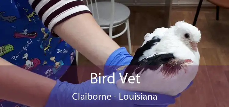 Bird Vet Claiborne - Louisiana