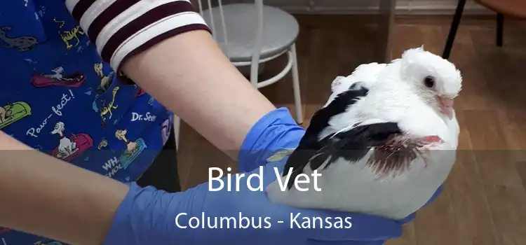 Bird Vet Columbus - Kansas