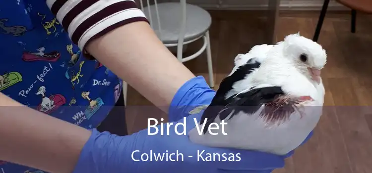 Bird Vet Colwich - Kansas