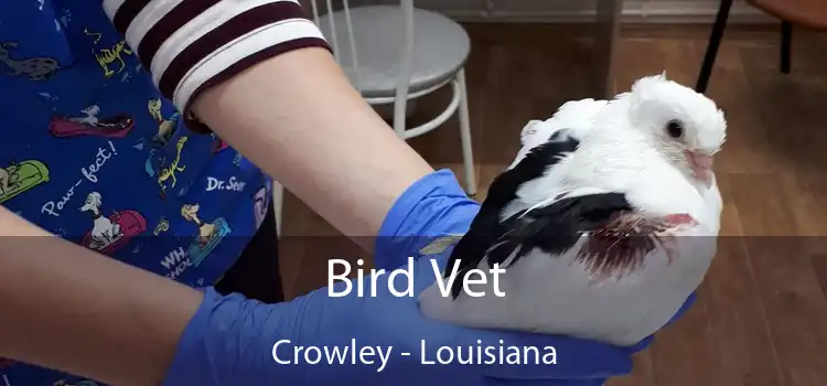 Bird Vet Crowley - Louisiana