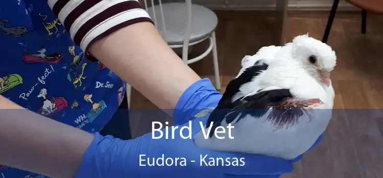 Bird Vet Eudora - Kansas