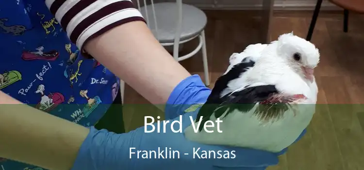 Bird Vet Franklin - Kansas