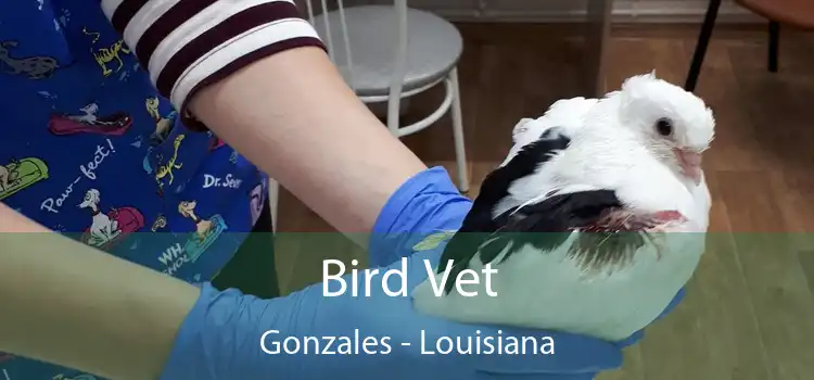 Bird Vet Gonzales - Louisiana