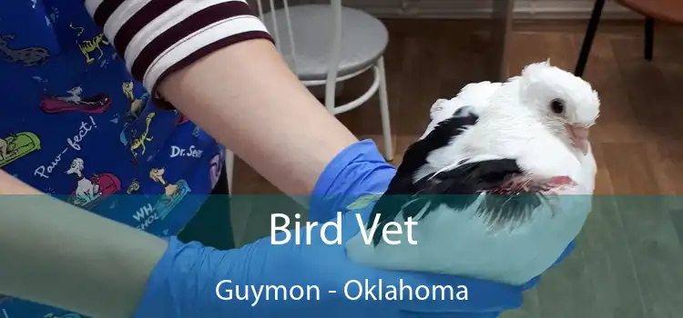 Bird Vet Guymon - Oklahoma