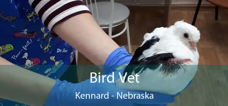 Bird Vet Kennard - Nebraska