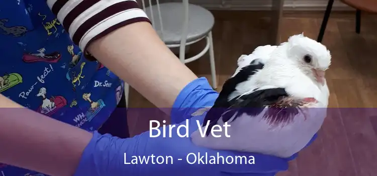 Bird Vet Lawton - Oklahoma