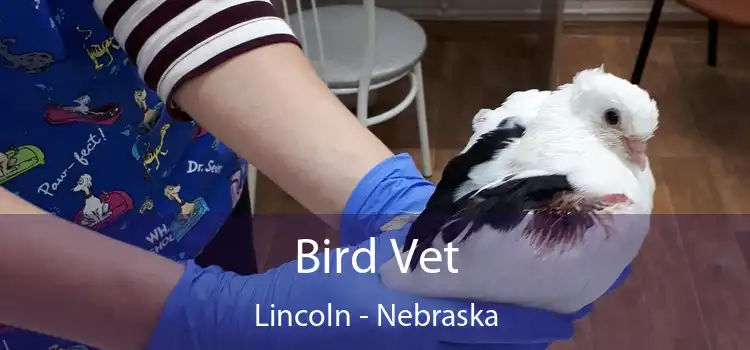 Bird Vet Lincoln - Nebraska