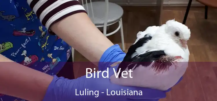 Bird Vet Luling - Louisiana