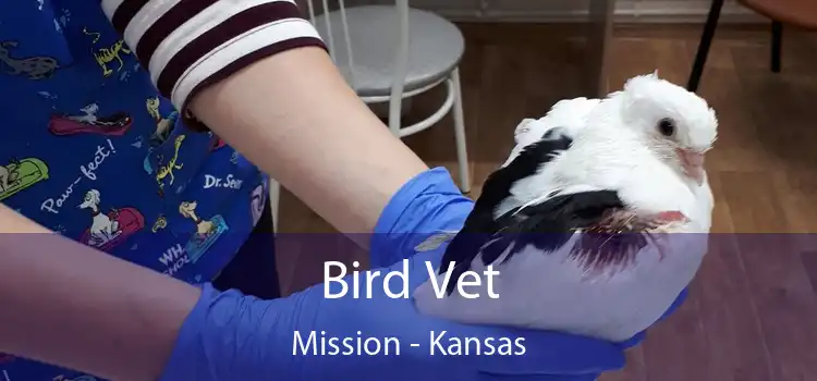 Bird Vet Mission - Kansas